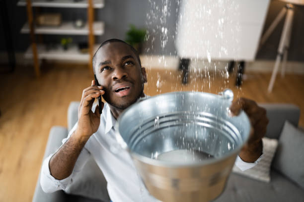 Best Sewage cleanup and water damage restoration  in Mount Vernon, GA