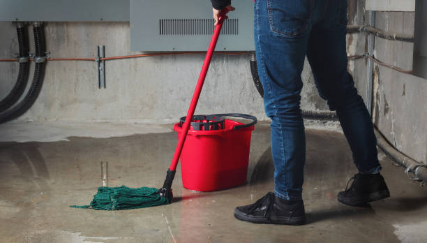 Best 24/7 water damage repair  in Mount Vernon, GA