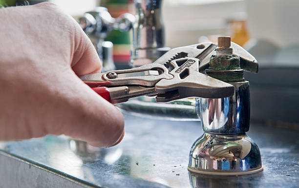 Best Local water damage restoration  in Mount Vernon, GA