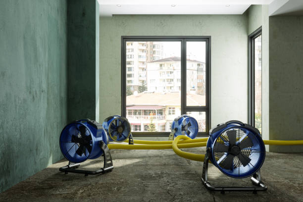 Mount Vernon, GA Water damage restoration Company