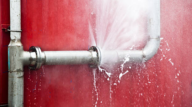 Best Flood damage cleanup  in Mount Vernon, GA