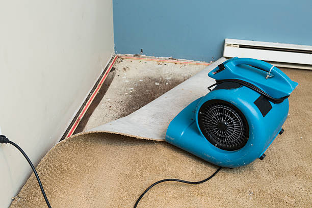 Best 24-hour water damage restoration  in Mount Vernon, GA
